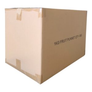 Large Shipping Box - Fruit punnet